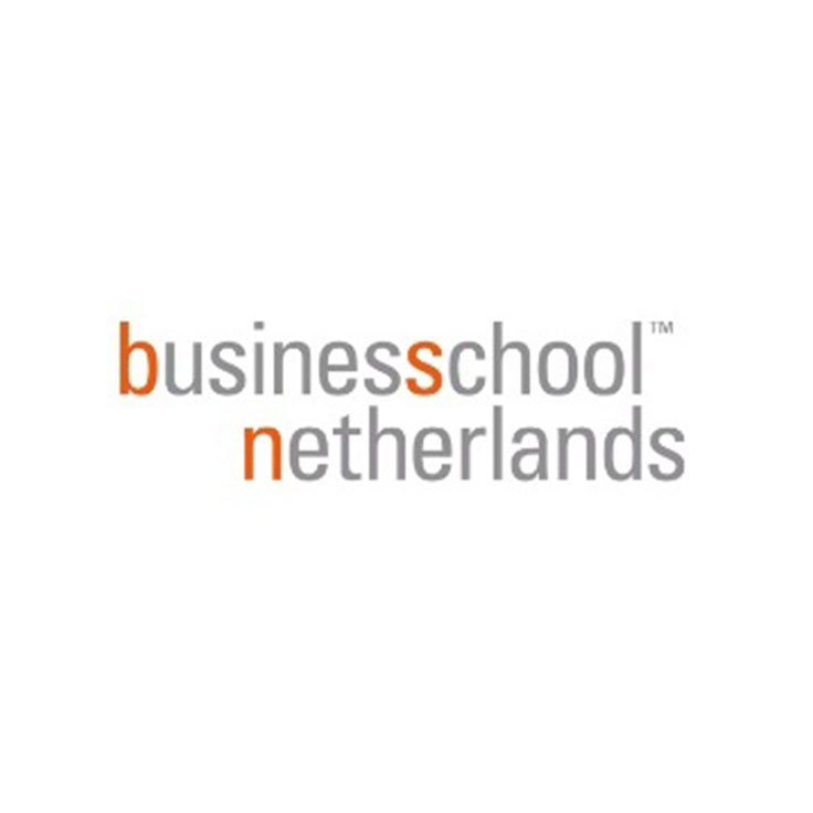 Business School Netherlands South Africa
